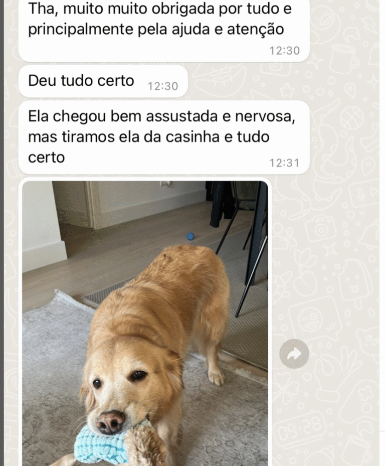 captura de tela 2025 11 18 às 17.56.17