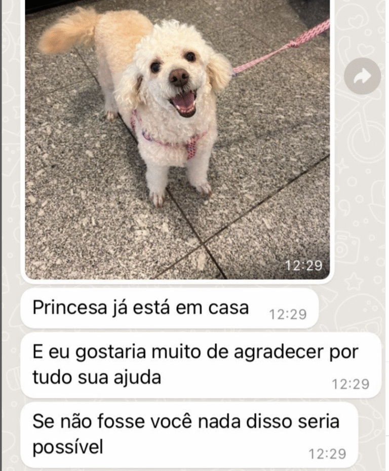 captura de tela 2025 11 18 às 17.56.24